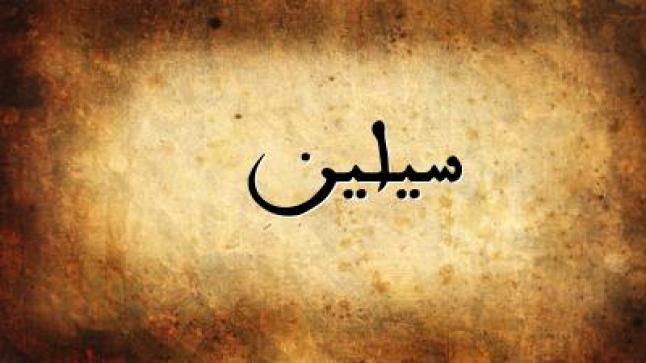 معنى اسم سيلين في المعجم الوسيط وفي اللغة التركية