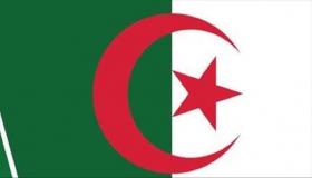 بيان لوزراة الدفاع يدعو أعضاء التنظيمات الإرهابية لتسليم أنفسهم