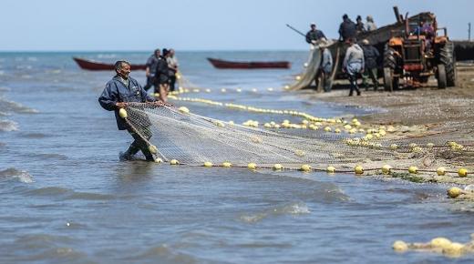 تفسير حلم صيد السمك في المنام لابن سيرين