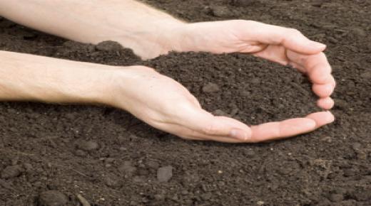 تفسير حلم التراب في المنام لابن سيرين