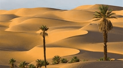 تفسير حلم الرمل في المنام