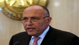 وزير الخارجية المصري ينفي صفة الإرهاب عن قتل إسرائيل للأطفال