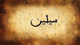 معنى اسم سيلين في المعجم الوسيط وفي اللغة التركية