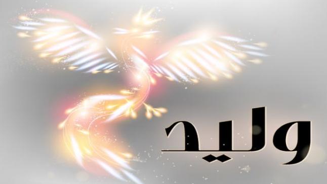 معنى اسم وليد وشخصية حامله