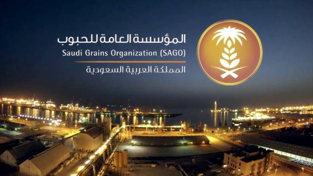 وظائف شاغرة بالمؤسسة العامة للحبوب، تعرف على كيفية التقديم والتسجيل